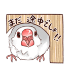 ブチギレた文鳥たち（個別スタンプ：30）