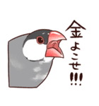 ブチギレた文鳥たち（個別スタンプ：33）