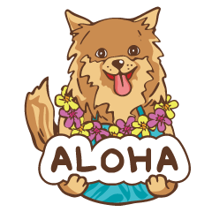 [LINEスタンプ] -Malama Pono- ALOHA PICNIC（挨拶編）