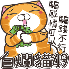 [LINEスタンプ] ランラン猫 49 (台湾版)の画像（メイン）