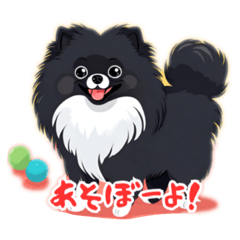 [LINEスタンプ] 黒いポメラニアンスタンプ