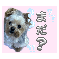 [LINEスタンプ] みんなのリカちゃん