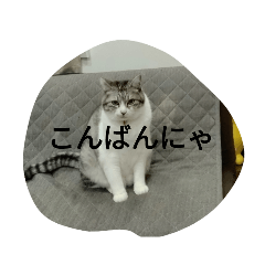 [LINEスタンプ] ととここあスタンプ5