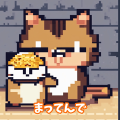 [LINEスタンプ] 猫の日常ですねん