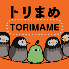 [LINEスタンプ] 野鳥のメッセージスタンプ - トリまめ