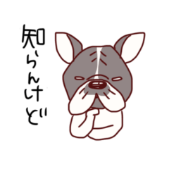 [LINEスタンプ] フレンチブルドッグ パイド【日常】