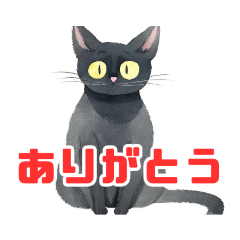 [LINEスタンプ] お絵描き風黒猫の色々スタンプ