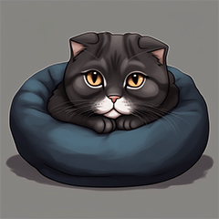 [LINEスタンプ] 黒猫の家