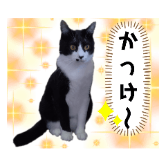 [LINEスタンプ] ガブリエルその13