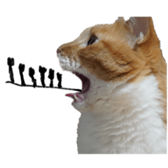 [LINEスタンプ] ちゃんましはうす ぱおももにか登場編