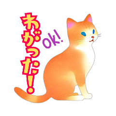 [LINEスタンプ] 方言ネコ(宮城の方言)毎日使える