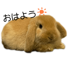 [LINEスタンプ] yuzustamp#1