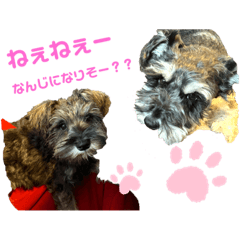 [LINEスタンプ] ポアロとシェリー