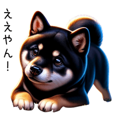 [LINEスタンプ] 柴犬の日和3