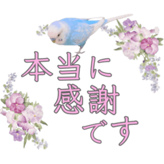 [LINEスタンプ] お花と小鳥♡日常会話.丁寧.敬語.気遣いの画像（メイン）