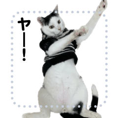 [LINEスタンプ] wasabiiifu