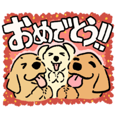 [LINEスタンプ] ゴールデンレトリバー3兄弟スタンプ