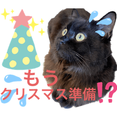 [LINEスタンプ] 黒猫 ルナ院長128にゃんめ