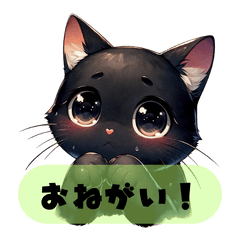 [LINEスタンプ] お願いするかわいいすぎる黒猫の画像（メイン）