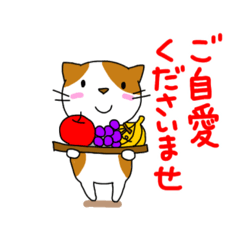 [LINEスタンプ] かーみさんのねこスタンプ3