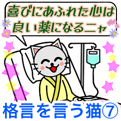 [LINEスタンプ] 格言を言う猫⑦ ★必要な価値観★