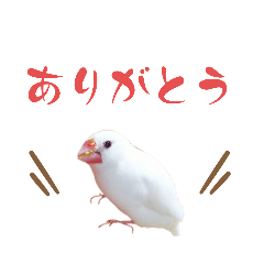 [LINEスタンプ] いやしのシロちゃん