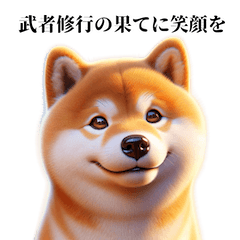 [LINEスタンプ] 柴犬の日和4: 表情豊かな柴パワー！