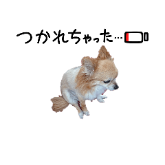 [LINEスタンプ] チワシェル