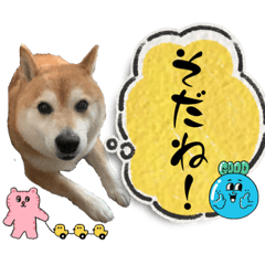 [LINEスタンプ] 柴犬サクラ其の陸