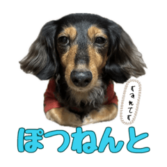 [LINEスタンプ] 可愛いすみれ♪の画像（メイン）