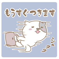 [LINEスタンプ] ぶち猫ぬっこ〜家族で使える連絡用スタンプ