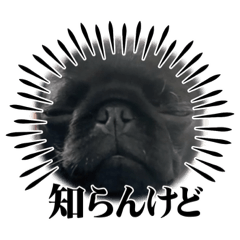 [LINEスタンプ] ぷーたろ～