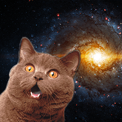 [LINEスタンプ] 宇宙猫(Space Cat)