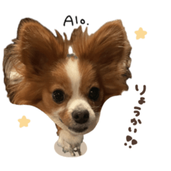 [LINEスタンプ] アロ君☆deformationMIX24