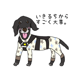 [LINEスタンプ] きゅんのひとこと