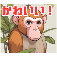 [LINEスタンプ] かわいい動物 テングザルと仲間達