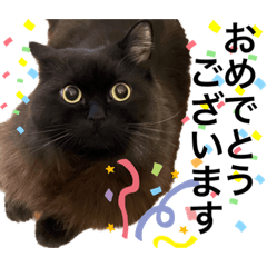 [LINEスタンプ] 黒猫 ルナ院長129にゃんめ