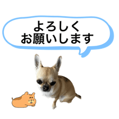 [LINEスタンプ] ココなつスタンプVI