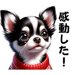 [LINEスタンプ] ハンサム犬くう太のねむねむ日記