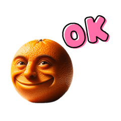 [LINEスタンプ] 普段づかいのオレンジ（DAILY USE ORANGE）