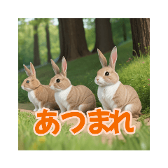 [LINEスタンプ] リアルで可愛いうさぎが森で遊んでる