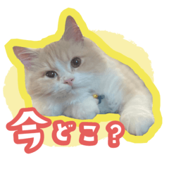 [LINEスタンプ] おれぽちスタンプ①