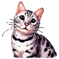 [LINEスタンプ] ドット絵 ベンガル シルバー 40種 定番