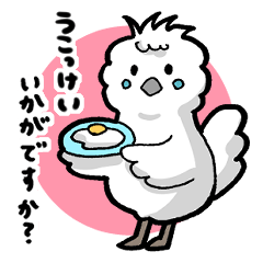 [LINEスタンプ] 烏骨鶏のうこりんとタマゴ(敬語)