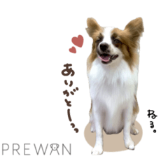 [LINEスタンプ] ねる君☆prewanキャンペーン