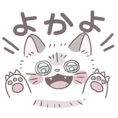 [LINEスタンプ] 博多弁で喋る猫 こさめちゃん