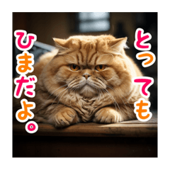 [LINEスタンプ] デブ猫ちゃんスタンプ#1