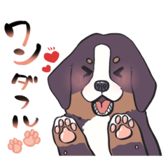 [LINEスタンプ] ぽちゃっとバーニーズ