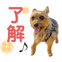 [LINEスタンプ] エラさんスタンプ③