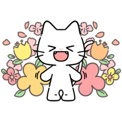 [LINEスタンプ] ねこさんのdaily